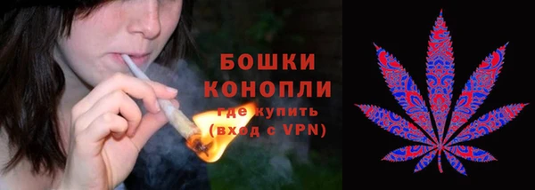 кокс Белокуриха