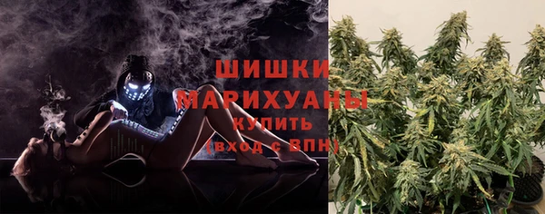 PSILOCYBIN Сясьстрой