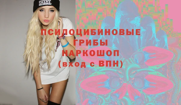 кокс Белокуриха